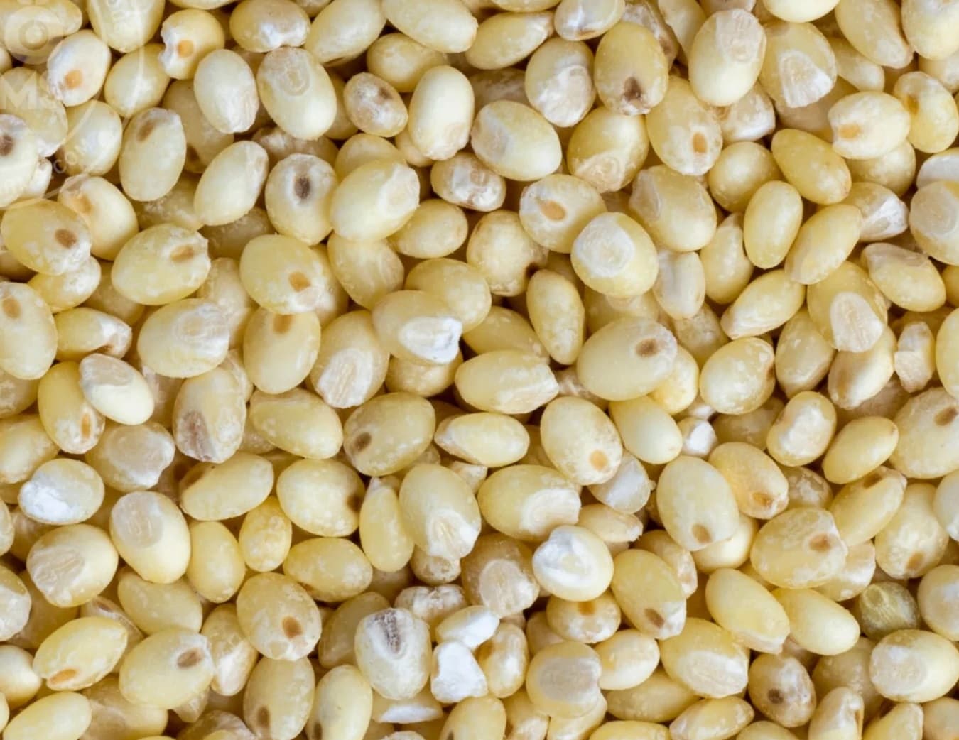 AACHI Proso Millet Roasted 1Kg