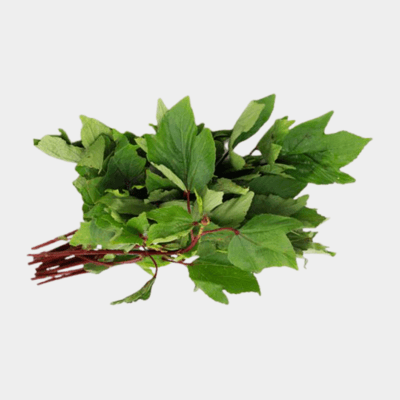 AACHI GONGURA PICKLE