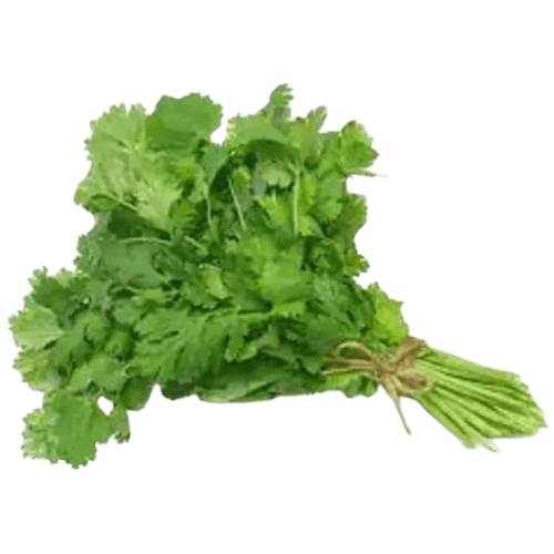 Fresh Coriander Bunch(1pc)