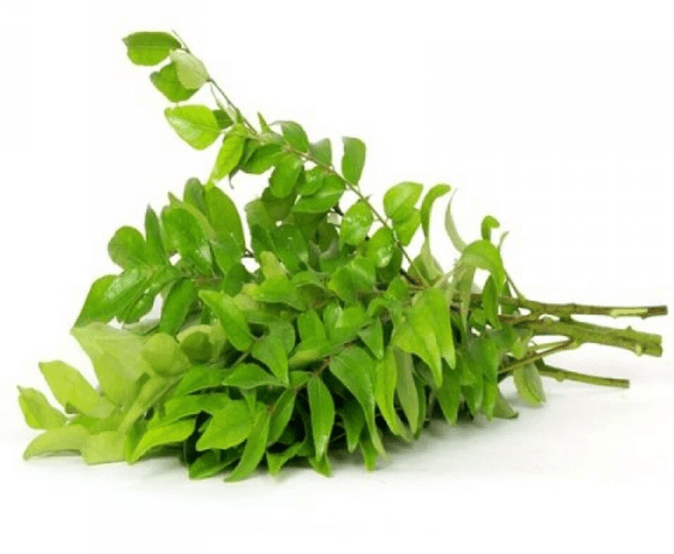 Fresh Curry Leaves  (1ps)