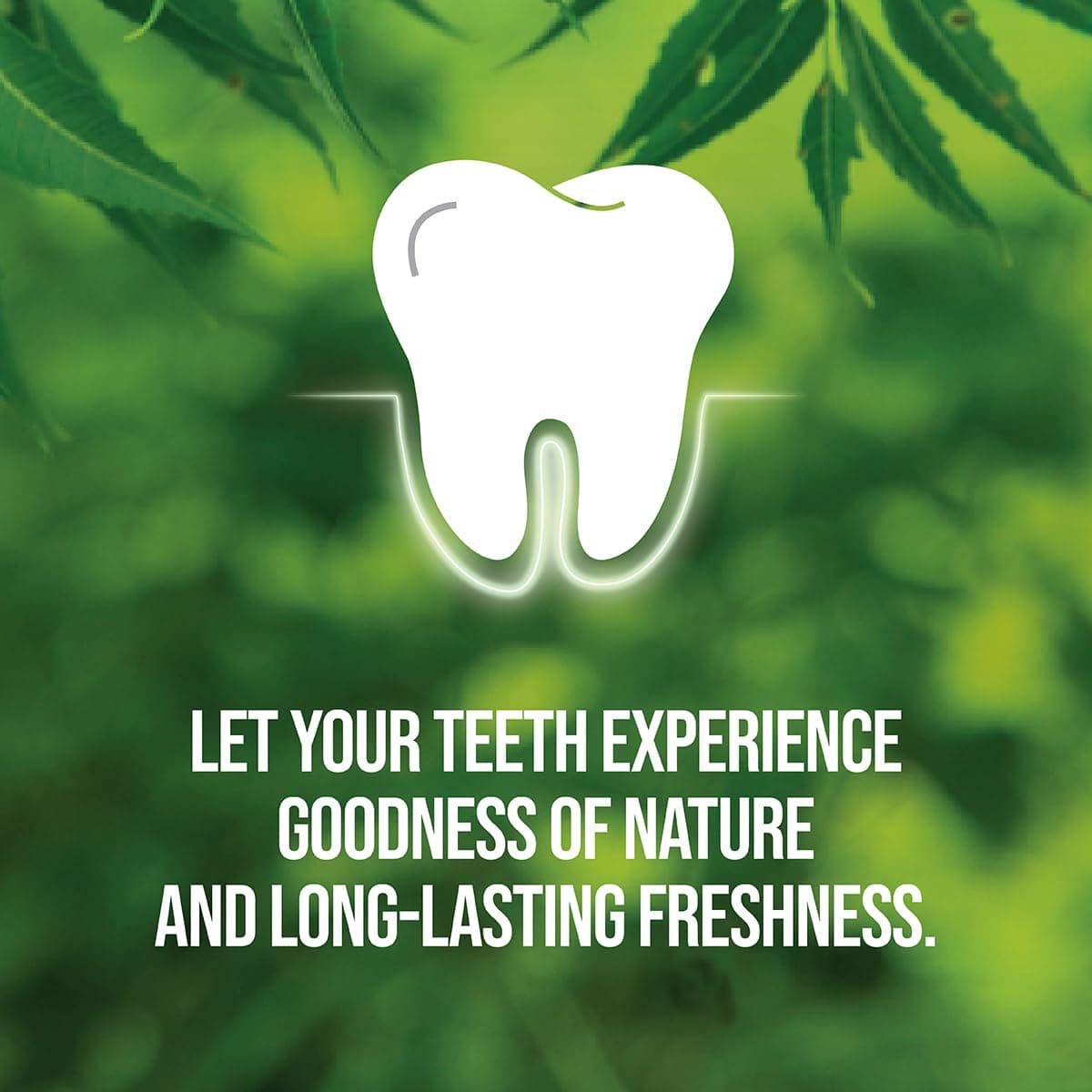 Neem Toothpaste 200g