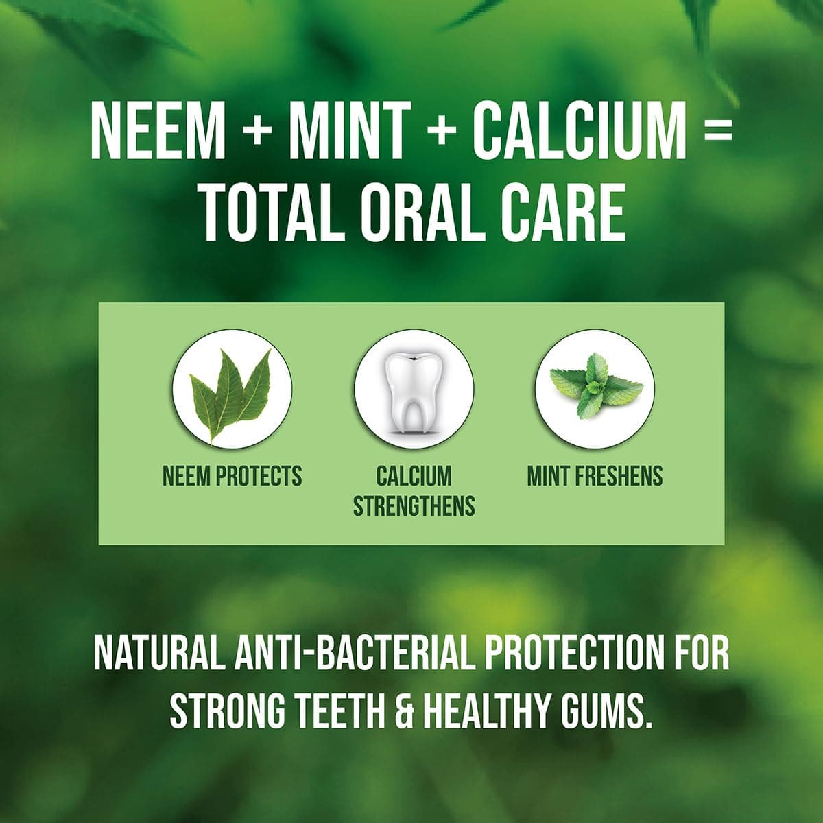 Neem Toothpaste 200g