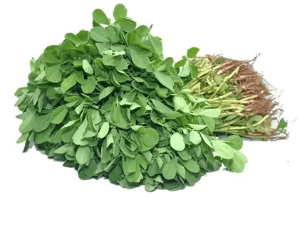 Methi (Fenugreek) Green Leaves – Fresh & Aromatic(145g)