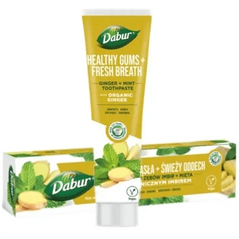 DABUR Ginger + Mint Toothpaste 100ml