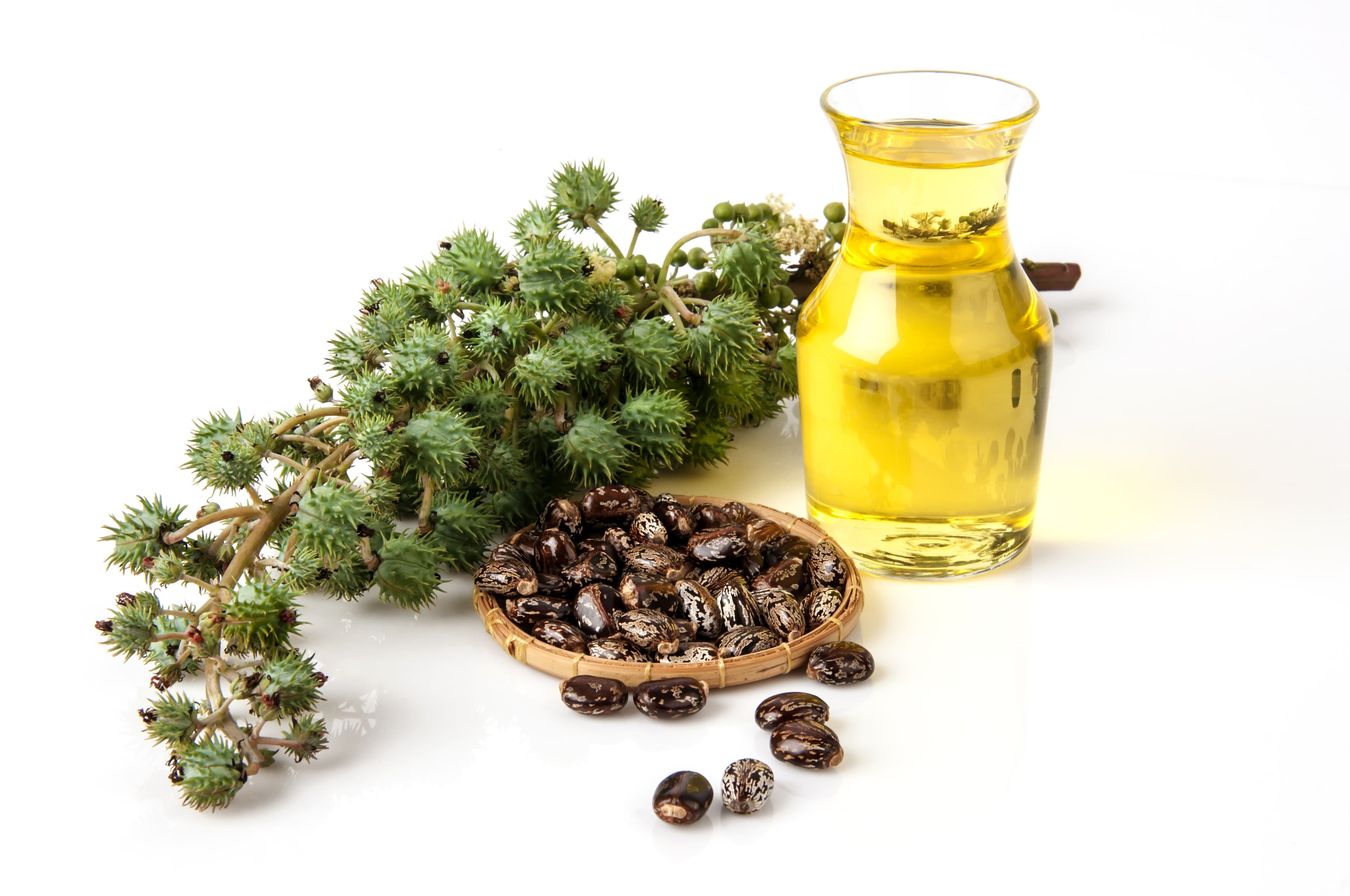 Pure Castor Oil 250ml